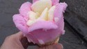 Glace florale