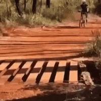 Ne pas mettre la roue dans la fente