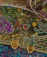 Vision d'artiste de l'intérieur d'une cellule