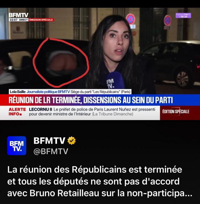 "Les français en ont ras le cul de cette situation politique ubuesque"
C'est ce qu'aurait pu commenter la journaliste Lola Baille (joli jeu de mot de la part des parents; lullaby=berceuse)