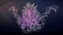 Simulation de l'ADN par des supercalculateurs
