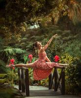 Le petit pont de bois