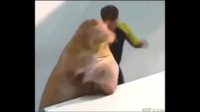 GIF Mashup