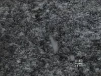 Les aléas du direct  7