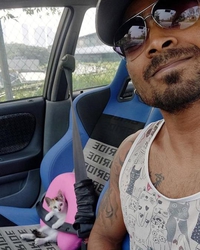 En auto, prenez soin de vos animaux de compagnie