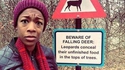 Attention aux cerfs