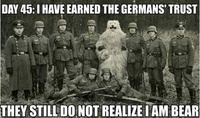Infiltration d'un ours