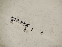 Caravane d'ombres