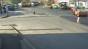 Accident WTF avec un agent de circulation