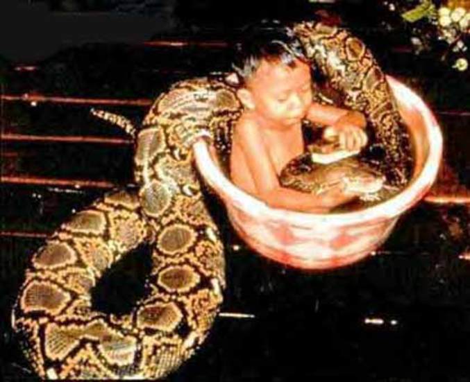Un enfant lave son serpent de compagnie