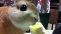 Banana time