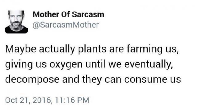"Et si nous n'étions que du bétail pour les plantes, qui nous donneraient de l'oxygène jusqu'à ce que, au final, nous nous décomposions et qu'elles puissent nous consommer ?"