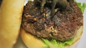 Tarantula Burger