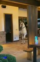 C’est ainsi que je vois les femmes avec des talons 