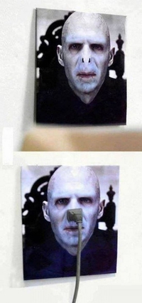 Voltemort
