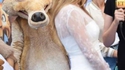 Scrat sait où il peut cacher son gland