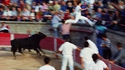 Raseteur volant