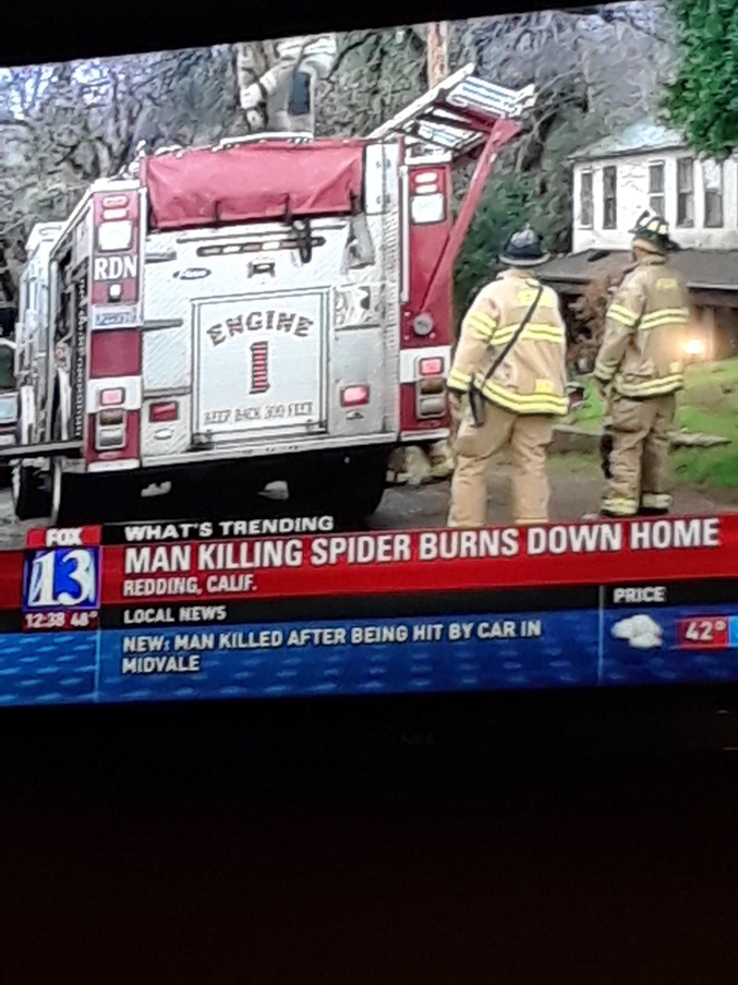 "Un homme met le feu à sa maison en voulant tuer une araignée".