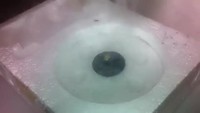 Lévitation d'un objet grâce à l'azote liquide