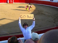 Go Bull