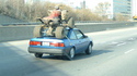 Transport de quad