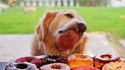 Qui veut des donuts ? 4