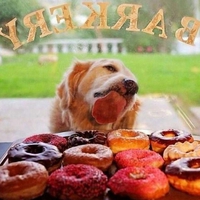 Qui veut des donuts ? 4