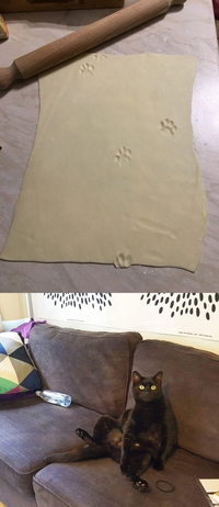 Pâte à pattes
