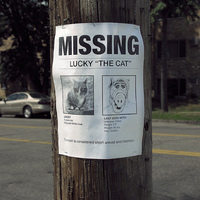 Perdu de recherche