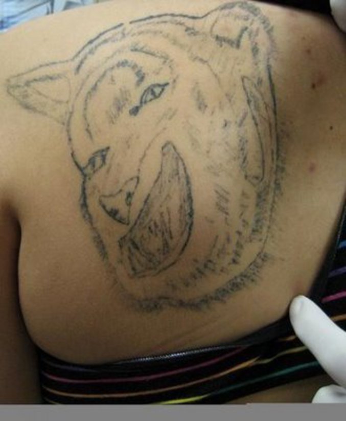 Un tatouage de... lion?
