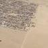 Festival Burning man 