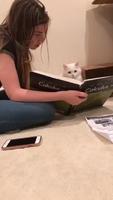 Catcul