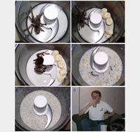 Spider in da mix