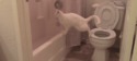 Un chat maladroit va aux toilettes