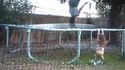 Trampoline et petite sœur