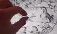 Dessin interactif 