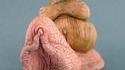 eine grosse schnecke