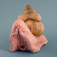 eine grosse schnecke