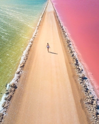 Pendant ce temps, en Australie du Sud...