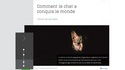 Comment le chat a conquis le monde