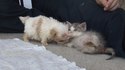 c'est mimi :3