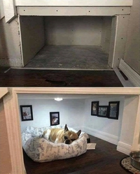 Aménager un espèce pour chien