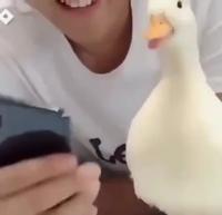 Regarde j’ai mis ta vidéo sur lelombrik