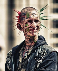 La recherche avance : on pense avoir trouvé la cellule souche du covid19