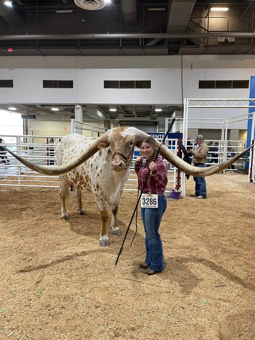 elle a ce qu'il faut, là où il faut !
(houston livestock show longhorn)
https://www.facebook.com/HoustonLivestockShowExhibitors/photos/a.894261063939055/5227592850605833/