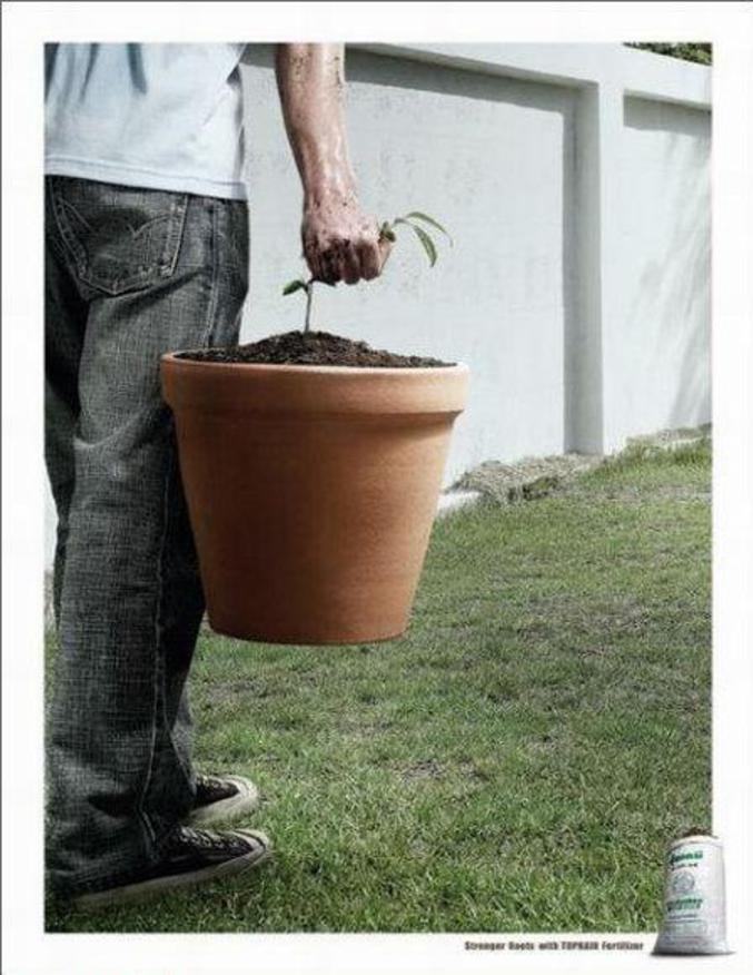 Une publicité pour de l'engrais qui rend vos plantes fortes et belles