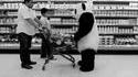 Les pandas ne sont pas tous sympas
