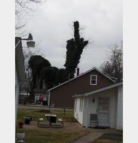 Arbre à message