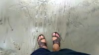 Bientôt les vacances d'été !