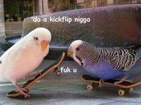 Do a kickflip
